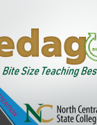 2 Minutes for Pedagogy- Bite Size Teaching Best Practices